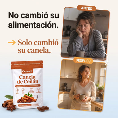 Canela de Ceilán 12:1 con aceite MCT — Equivalente a 7200 mg