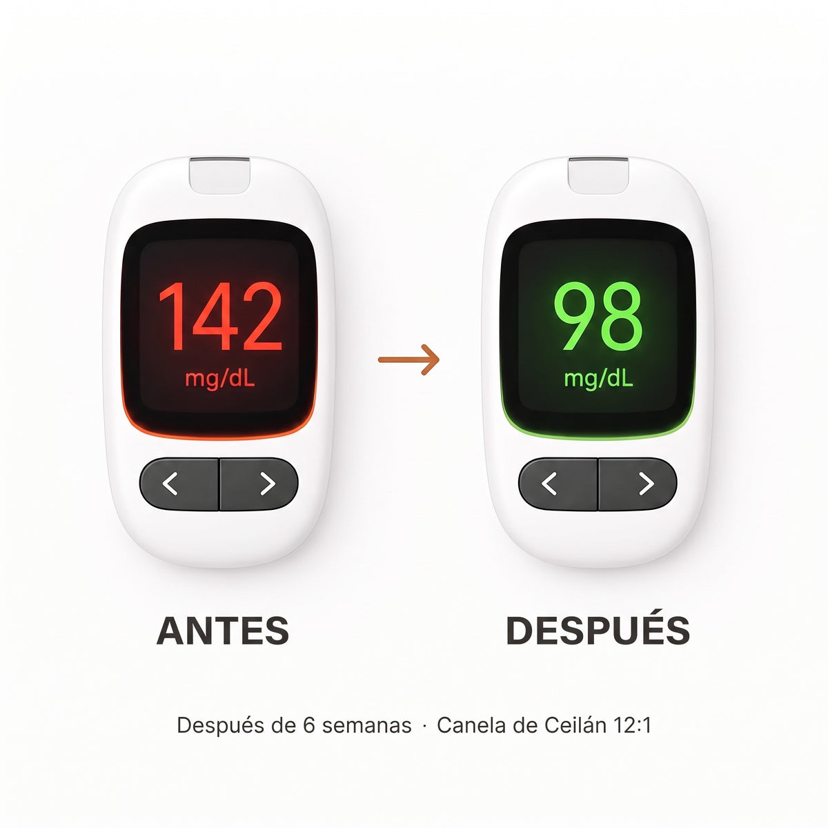 Canela de Ceilán 12:1 con aceite MCT — Equivalente a 7200 mg