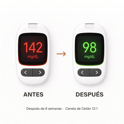 Canela de Ceilán 12:1 con aceite MCT — Equivalente a 7200 mg